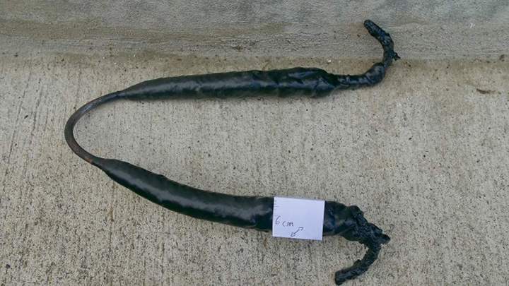 CROCHETS PEINTURE avant décapage